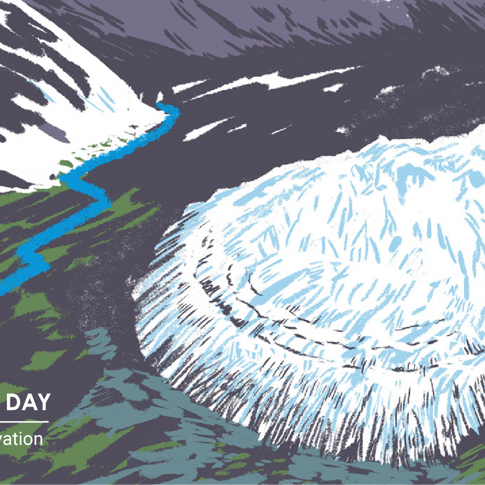 World Water Day 2025: The Urgent Need for Glacier Preservation