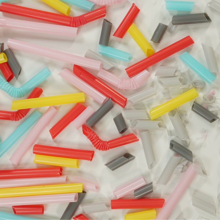 Microplastics in the Brain: What You Need to Know