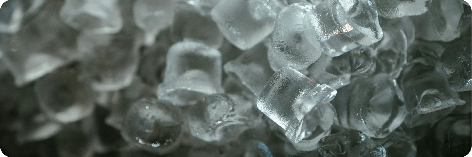 The Ice Cube Test – A Cool Way to Spot Water Quality