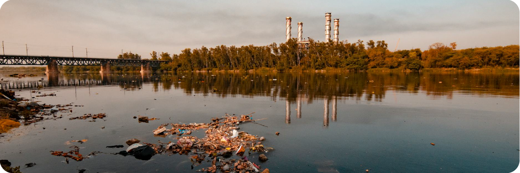 Presence of Chemical Contaminants & Heavy Metals