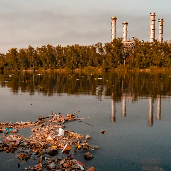 Presence of Chemical Contaminants & Heavy Metals