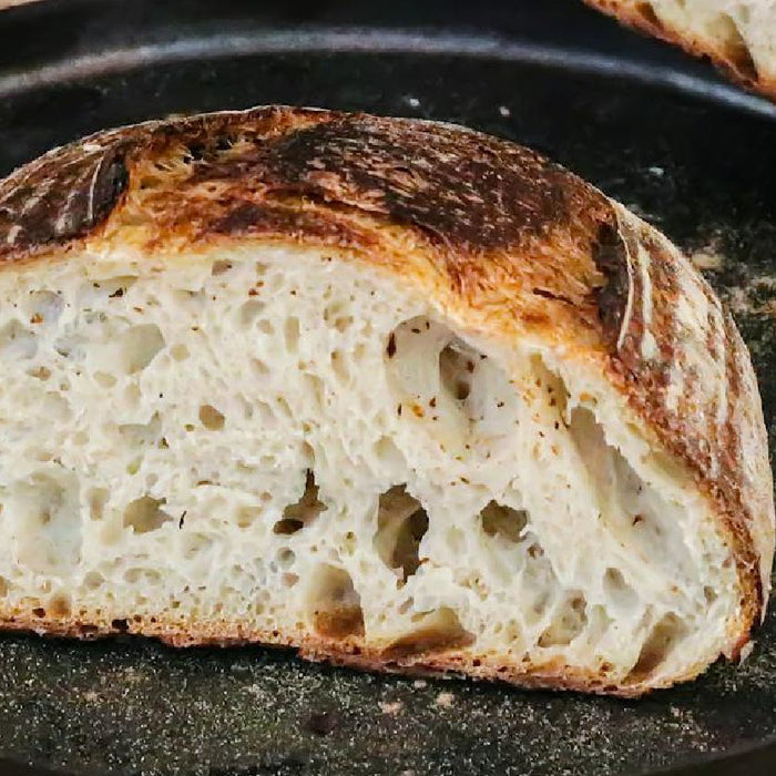 Why Bakers Prefer Filtered Water for Fermentation