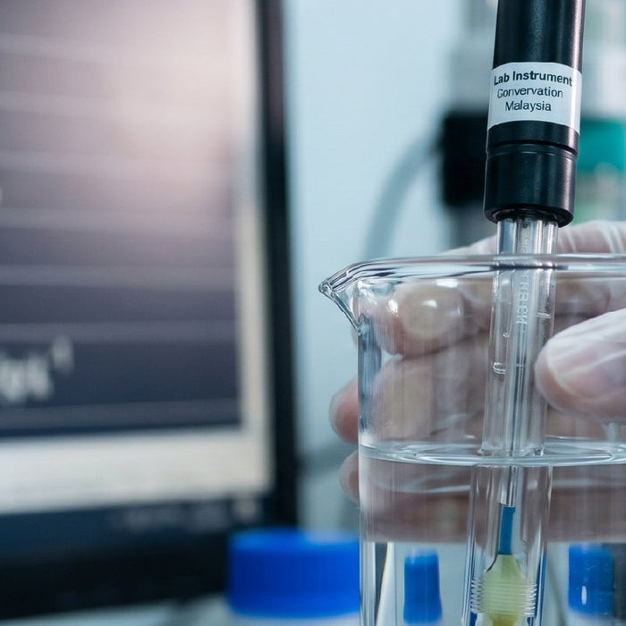 Trace Metal Seepage and the Microplastic Crisis