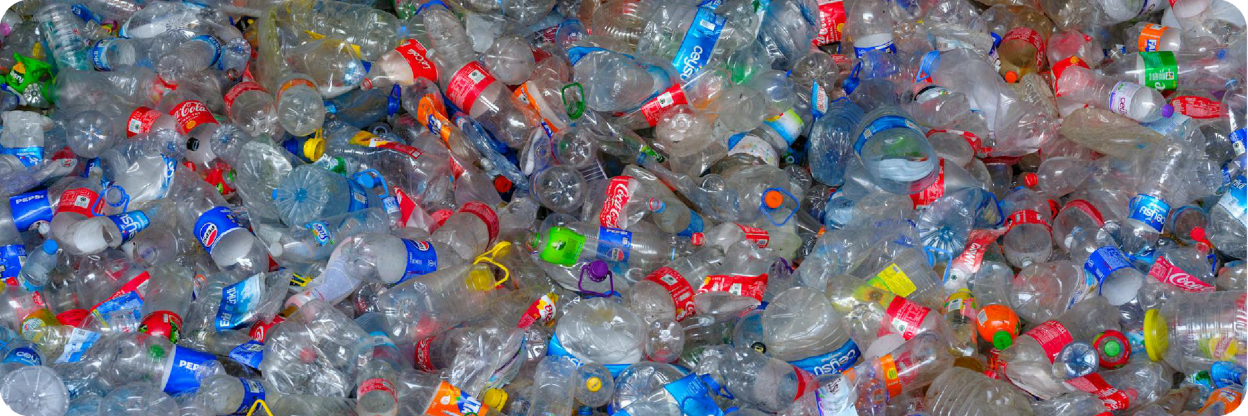 Single-Use Plastic: Drinking Water Doesn't Have To Cost The Earth
