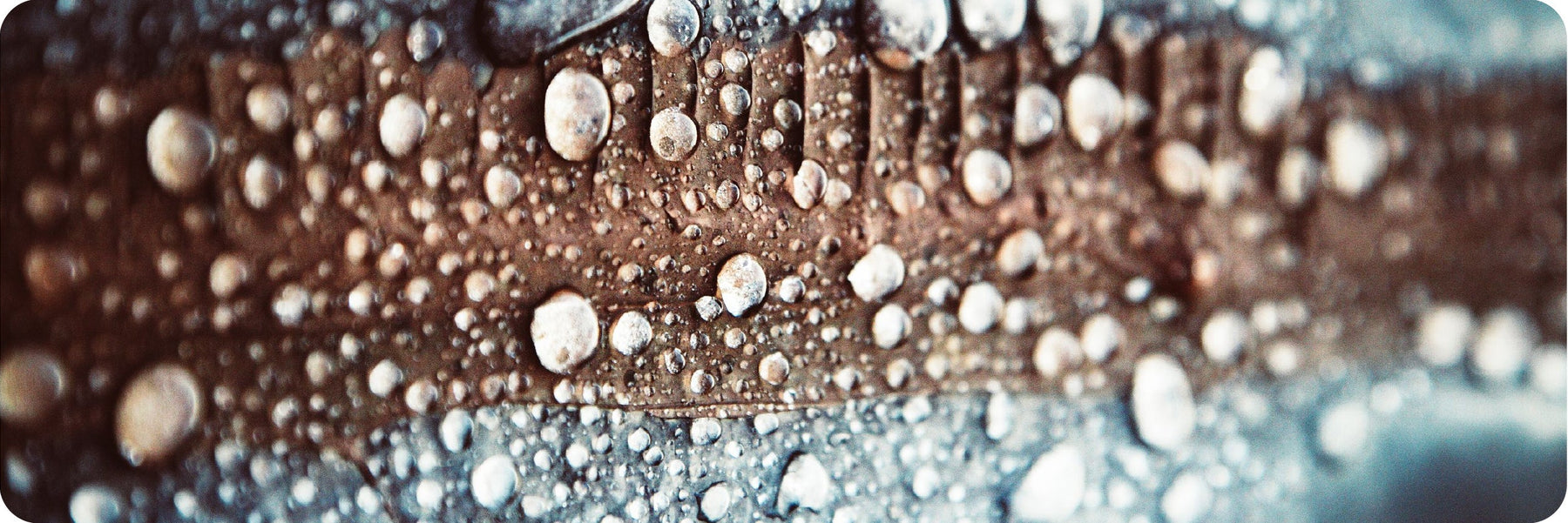 The Hidden Operational Cost of Limescale for F&B Businesses
