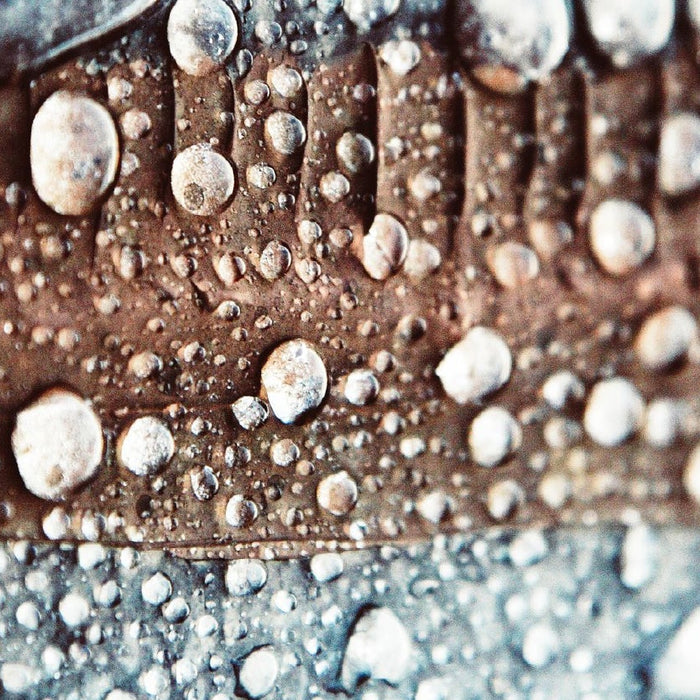 The Hidden Operational Cost of Limescale for F&B Businesses