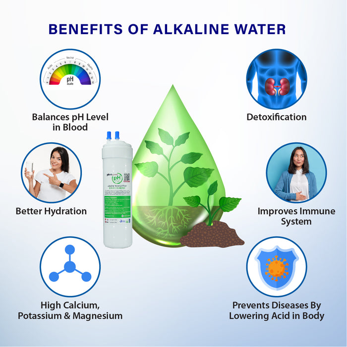 (JAKIM HALAL) Pureal Picogram Nano Alkaline Antioxidant Water Purifier Undersink System