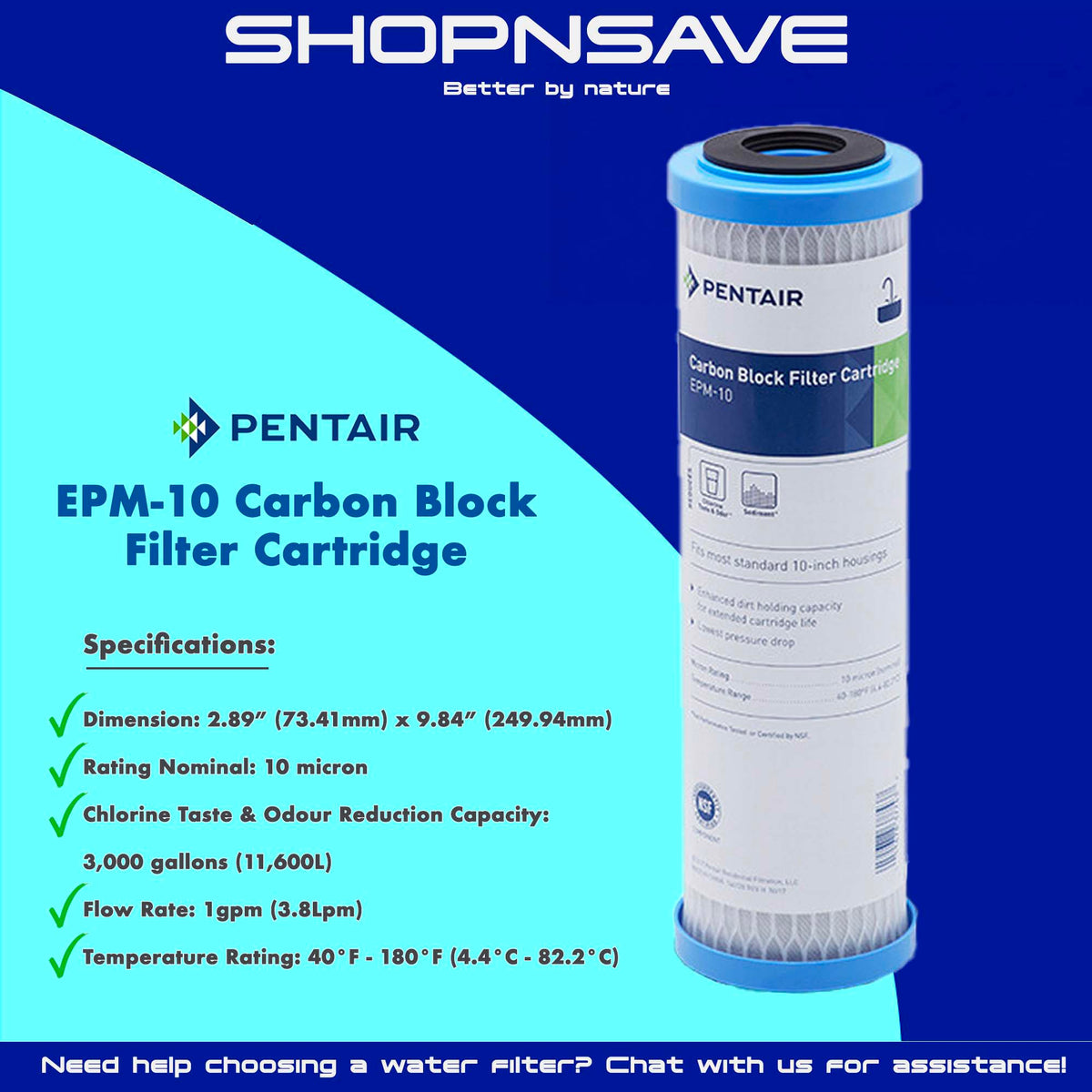 Pentair EPM10 Carbon Block Filter Cartridge (Replacement Cartridge fo