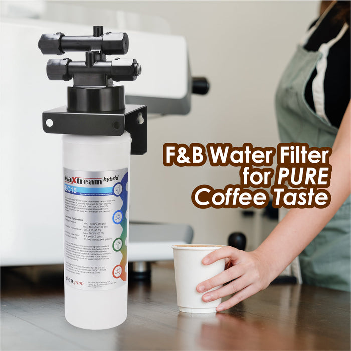 Pureal Maxtream Hybrid Commercial Water Purifier (Ideas for commercial use, Cafe, Restaurant, F&B)