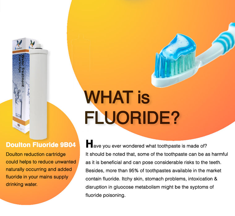 Doulton® Fluoride Reduction (FRC 9B04) Water Treatment Cartridge-Remove Fluoride,Arsenic&Heavy Metal