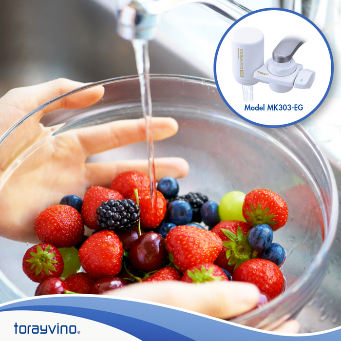 JAPAN Torayvino Faucet Water Filter, Torayvino Toray MK303-EG *1500L - SHOP N' SAVE effortless Shopping!